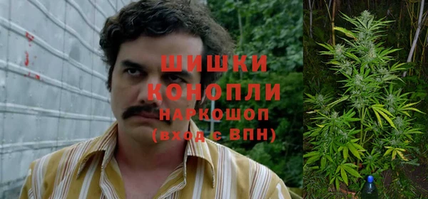стафф Волоколамск