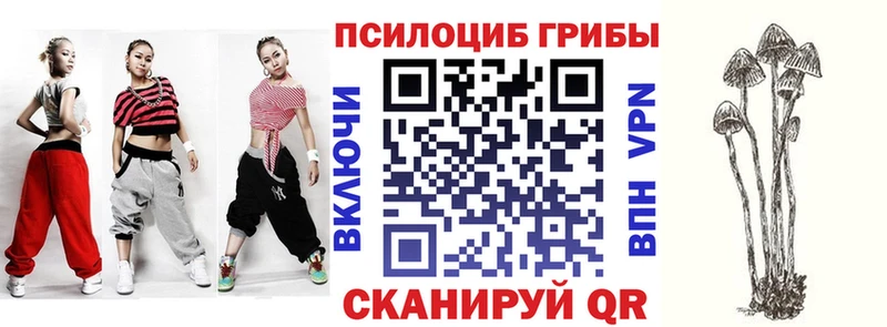 Купить где  Нолинск  Псилоцибиновые грибы MAGIC MUSHROOMS 